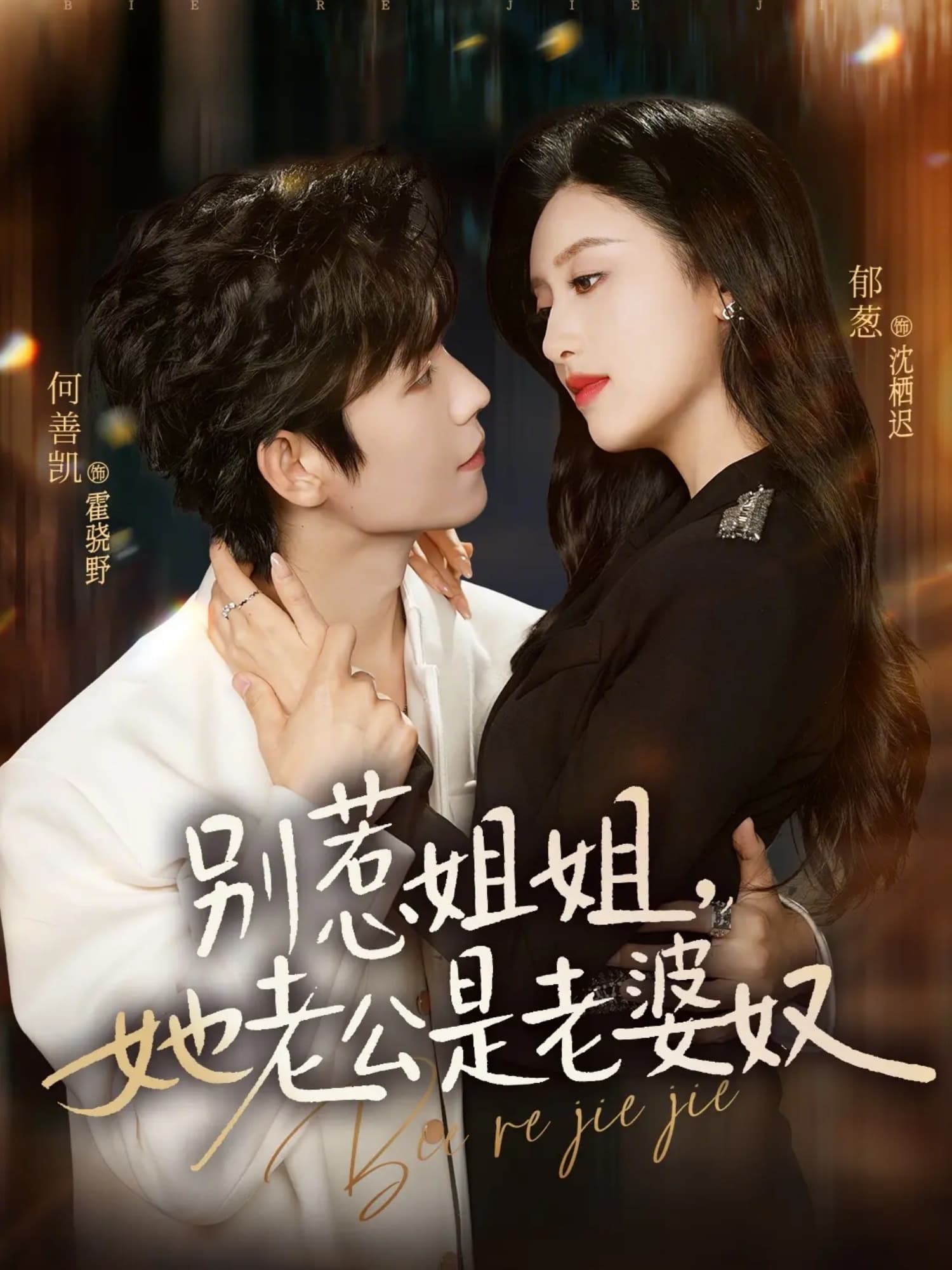 别惹姐姐，她老公是老婆奴海报