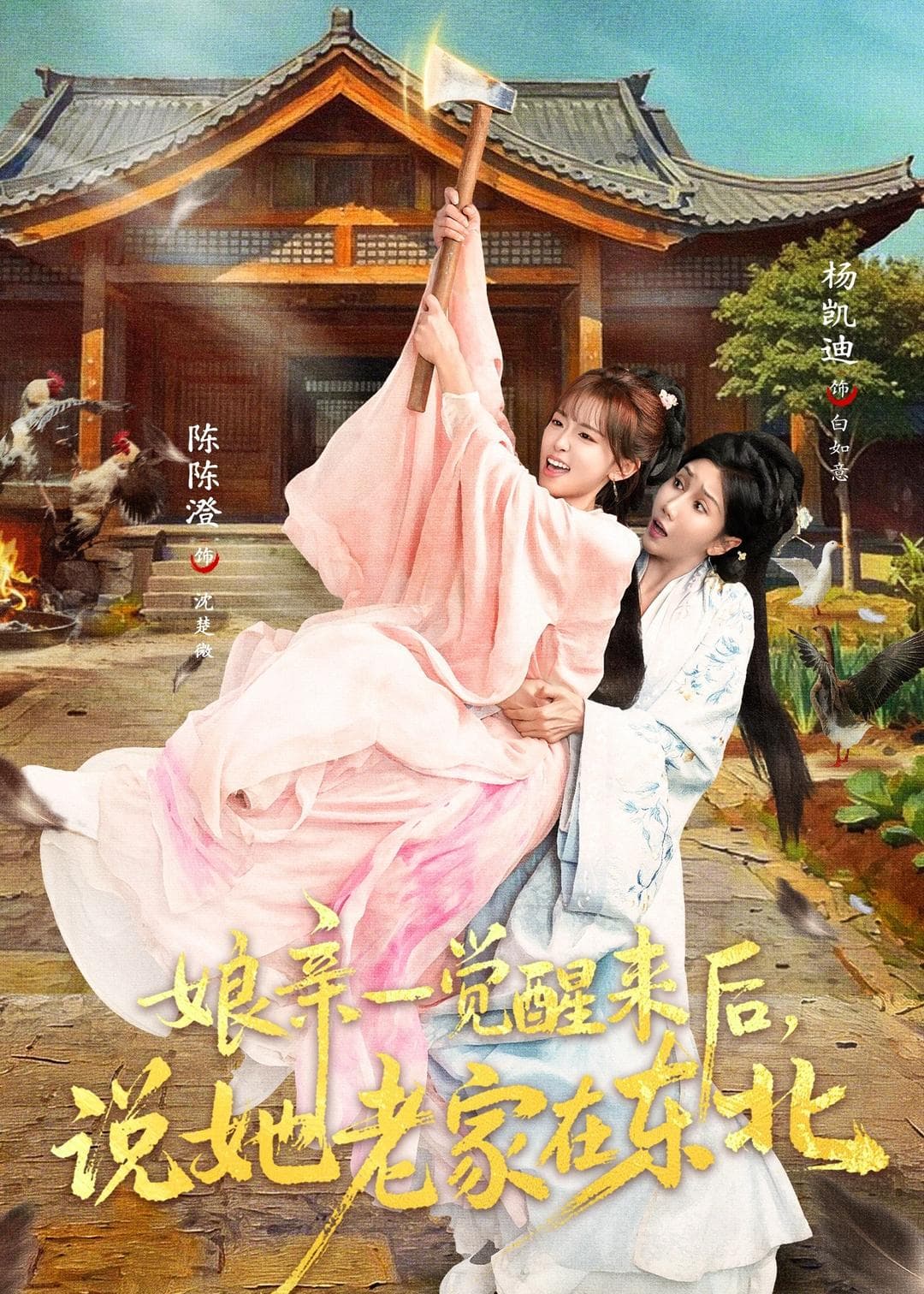 娘亲一觉醒来后说她老家在东北海报