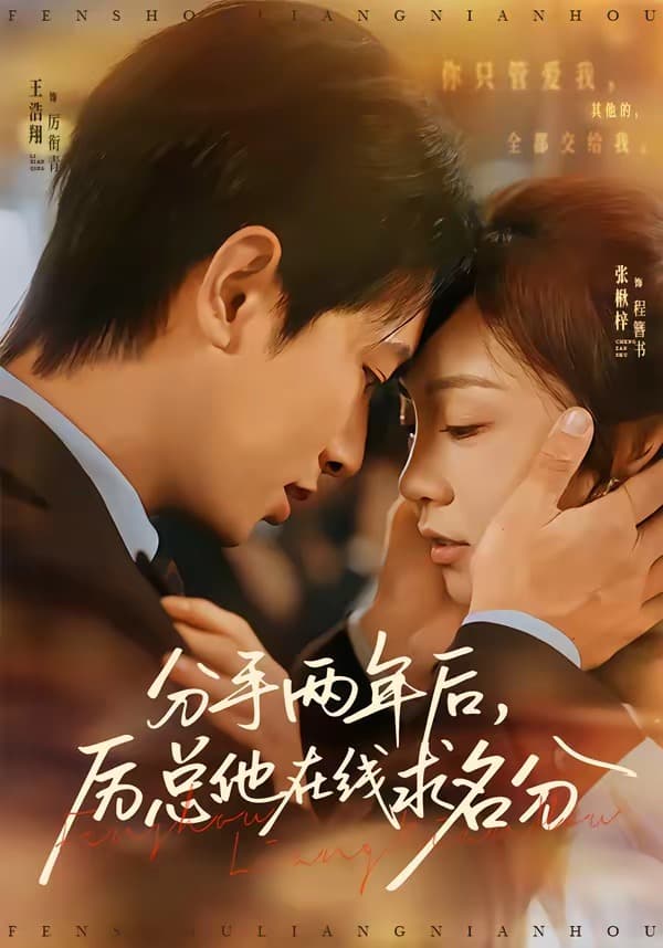 分手两年后，厉总他在线求名分海报