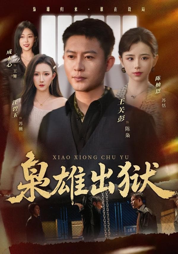枭雄出狱海报