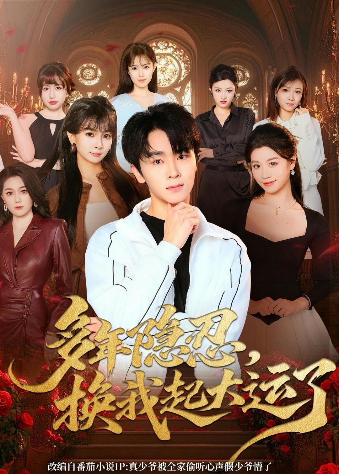 多年隐忍换我起大运了海报