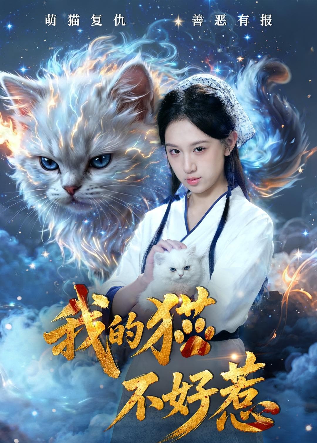 我的猫不好惹海报