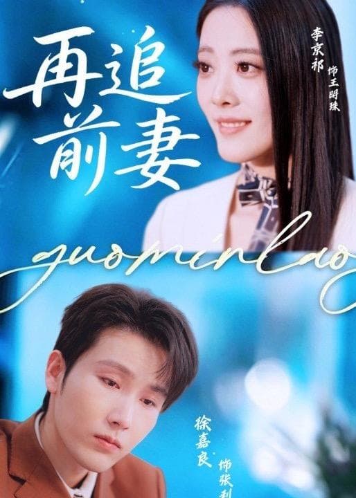 再追前妻海报