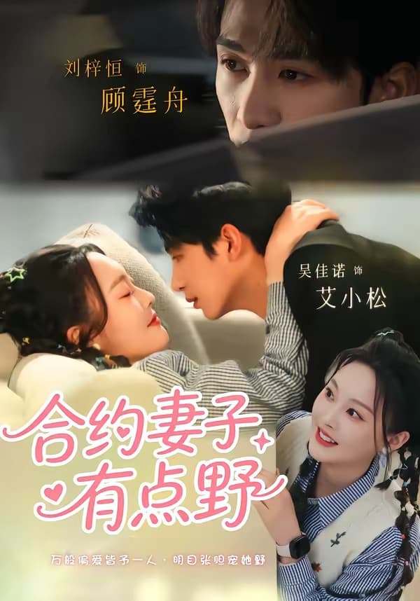 合约妻子有点野海报