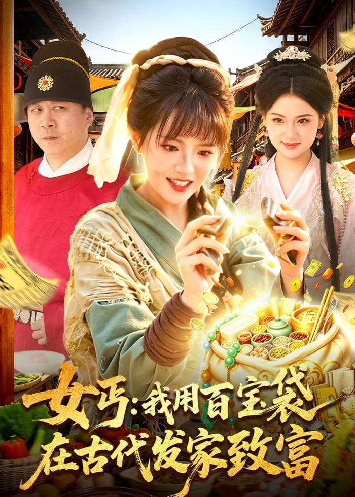 女丐：我用百宝袋在古代发家致富海报
