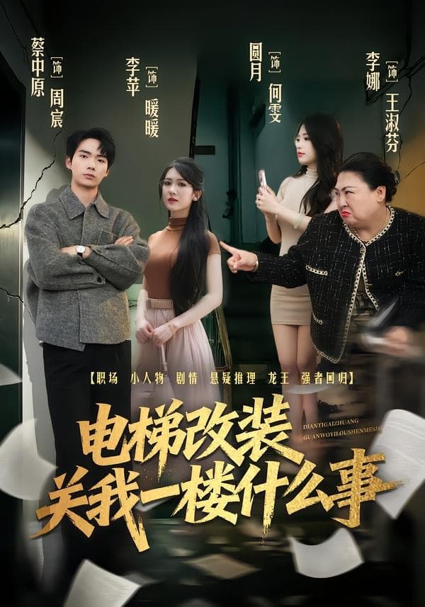 电梯改装关我一楼什么事海报