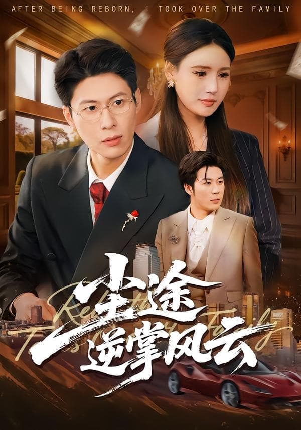 尘途逆掌风云海报