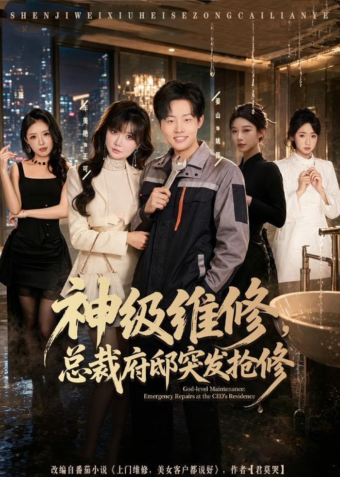 神级维修，总裁府邸突发抢修海报