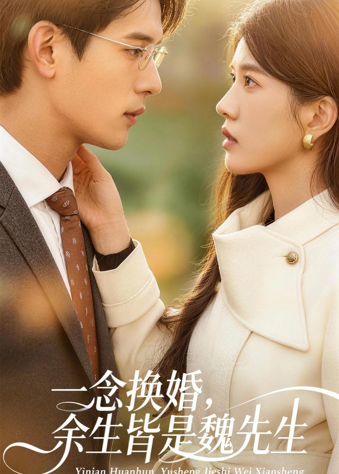 一念换婚，余生皆是魏先生海报