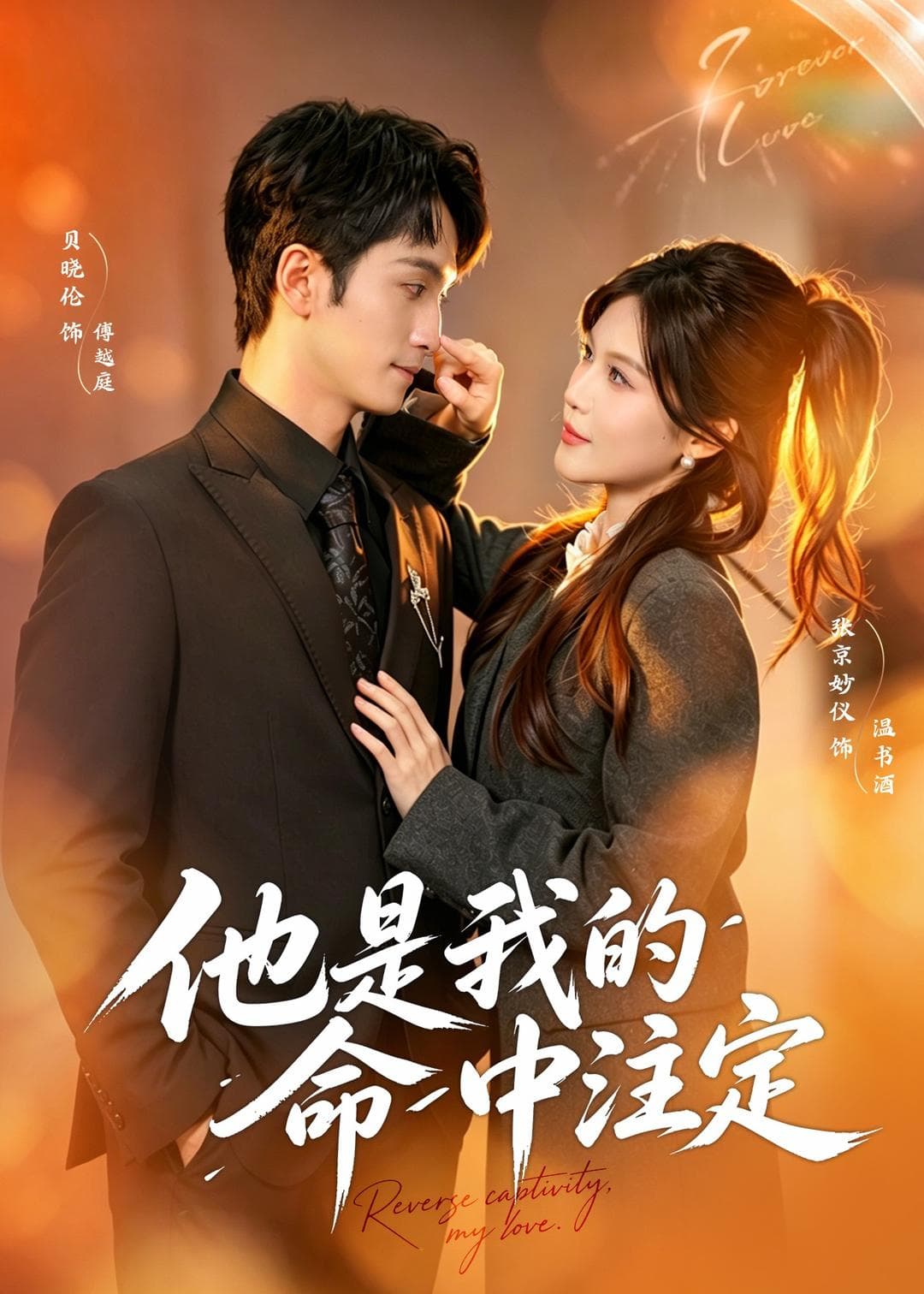 他是我的命中注定海报