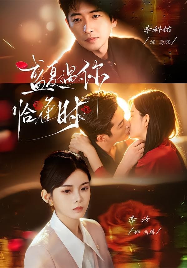 婚夜温柔海报