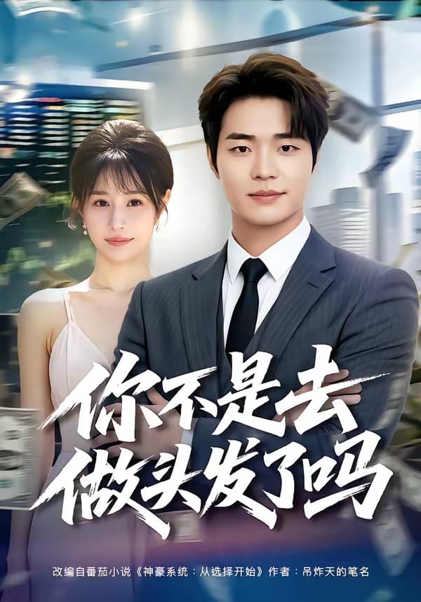 你不是去做头发了吗海报