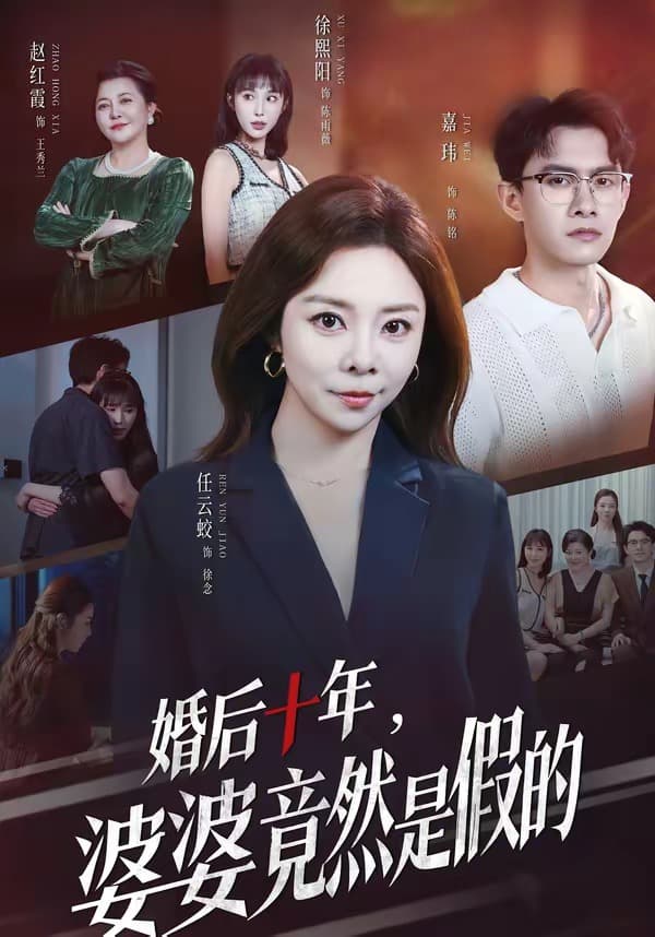 婚后十年，婆婆竟然是假的海报
