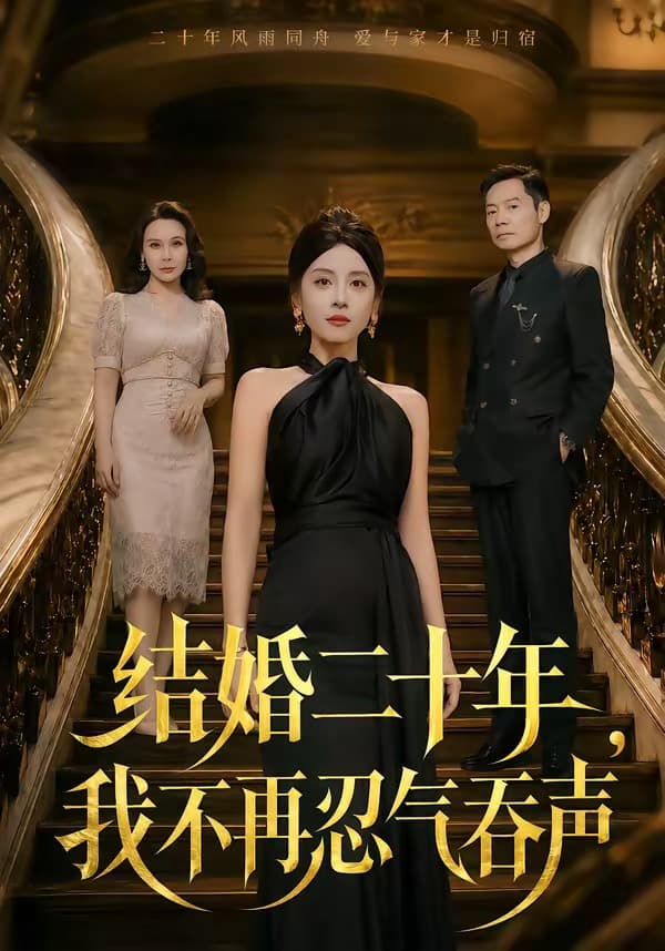 结婚二十年，我不再忍气吞声海报