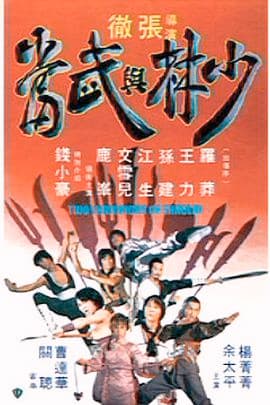 少林与武当海报