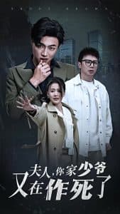夫人你家少爷又在作死了海报