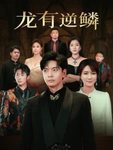 龙有逆鳞海报