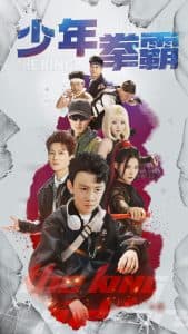 少年拳霸海报