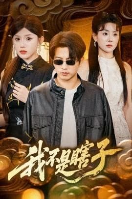 我不是瞎子海报