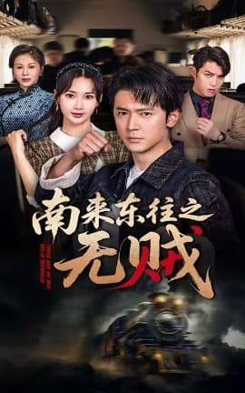 南来东往之无贼海报
