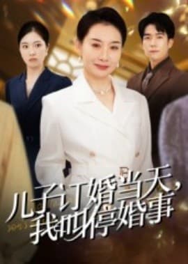 儿子订婚当天，我叫停婚事海报