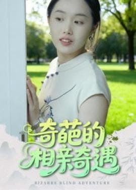 奇葩的相亲奇遇海报