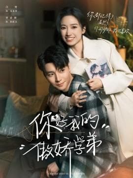 你好，我的傲娇学弟海报