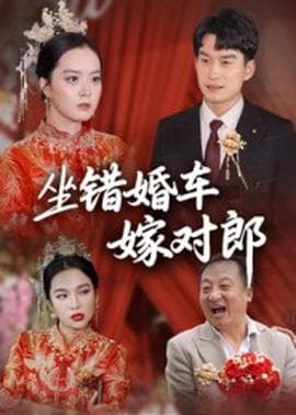 坐错婚车嫁对郎海报