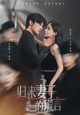 归来妻子的谎言海报