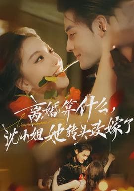 离婚算什么，沈小姐她转头改嫁了海报
