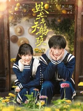 败犬与天鹅颈海报