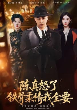 陈真怒了铁骨柔情我全要海报