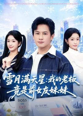 雪月满天星：我的老板竟是前女友妹妹海报