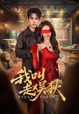 我叫赵吴狄海报