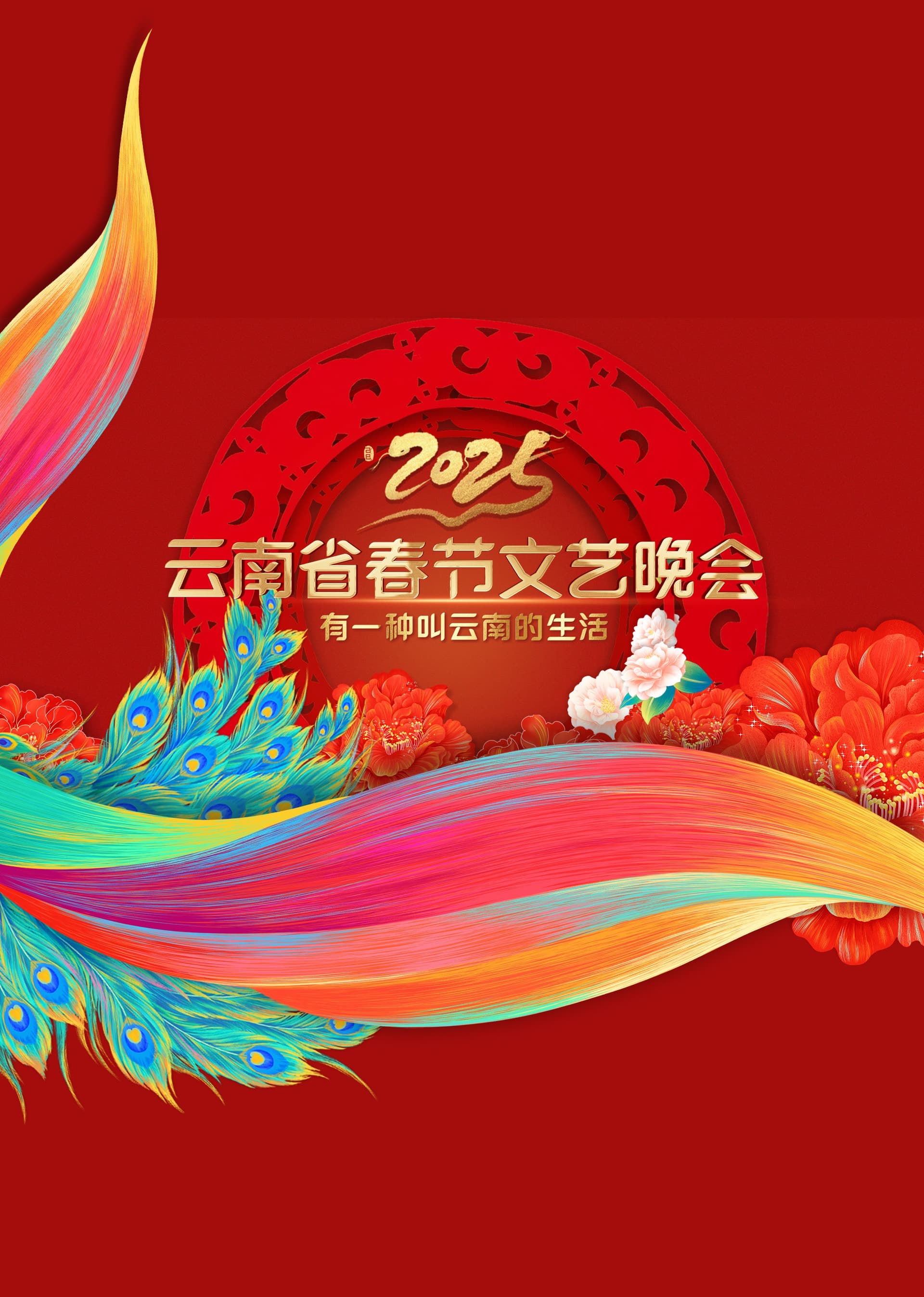 2025年云南省春节联欢晚会海报