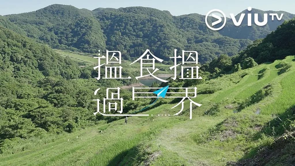 揾食揾过界海报