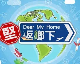 坚返乡下海报