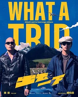 出去一下What A Trip海报