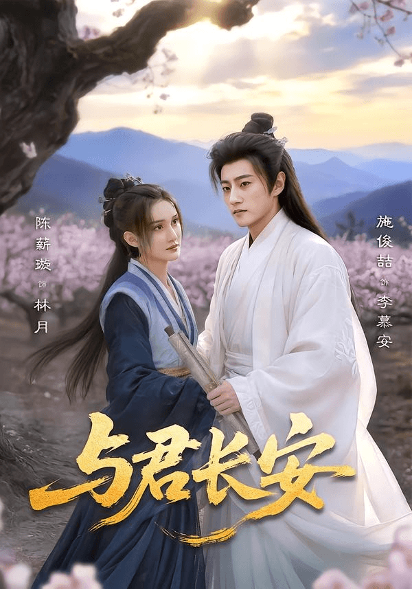 与君长安海报