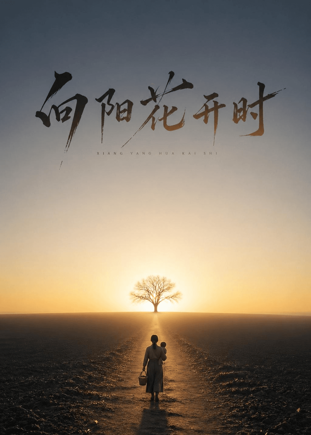 向阳花开时海报