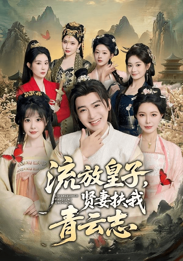 流放皇子，贤妻扶我青云志海报