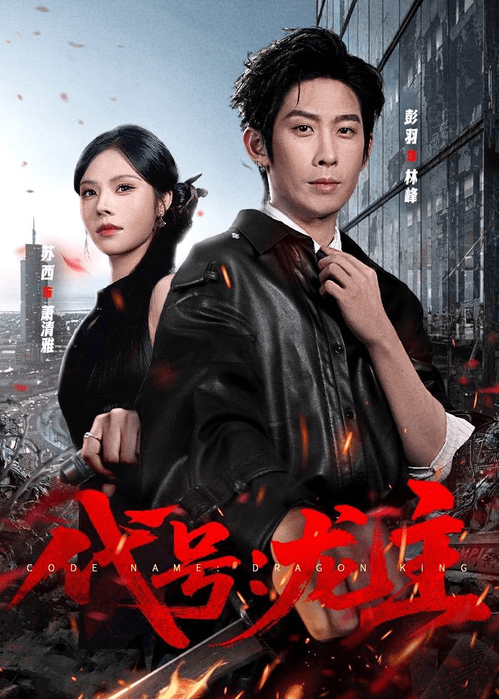 代号：龙主海报