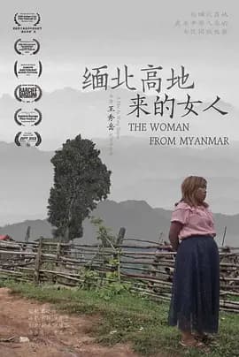 缅北高地来的女人海报