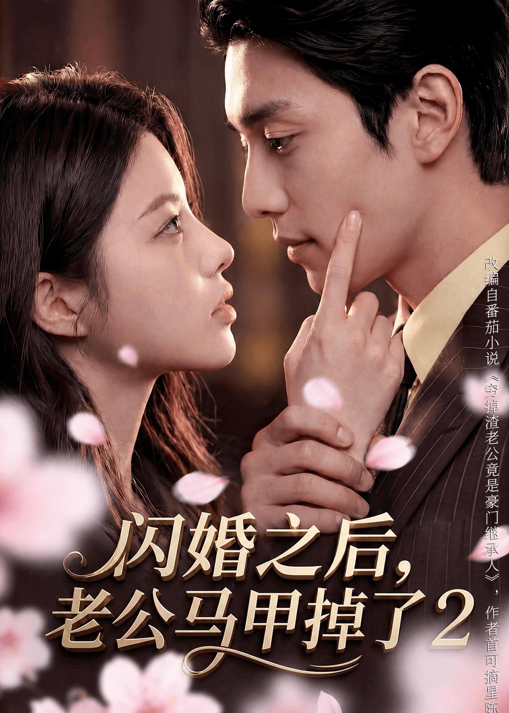 闪婚之后，老公马甲掉了2海报