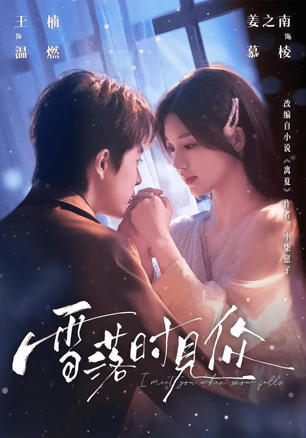 雪落时见你海报
