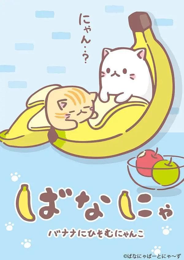 香蕉喵海报