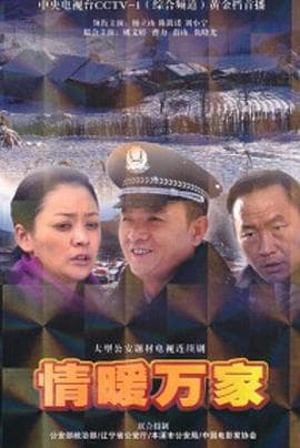 情暖万家海报