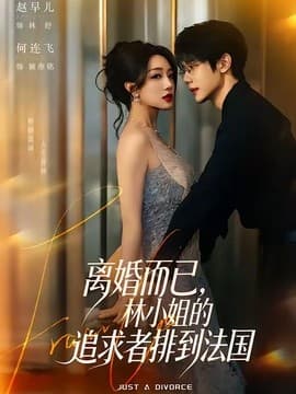 离婚而已，林小姐的追求者排到法国海报