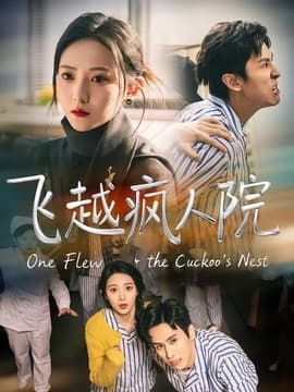 飞越疯人院海报