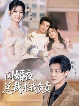 闪婚夜，总裁求我负责海报